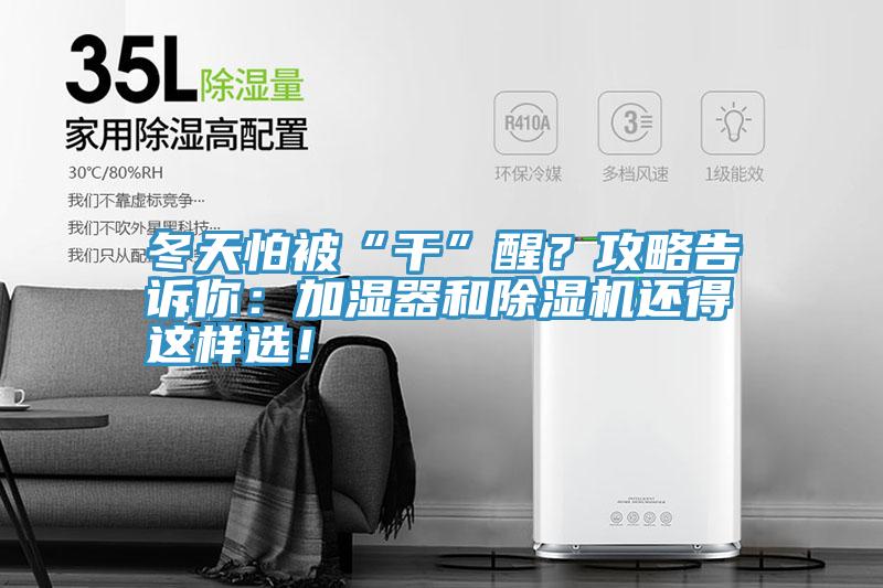 冬天怕被“干”醒？攻略告訴你：加濕器和除濕機還得這樣選！