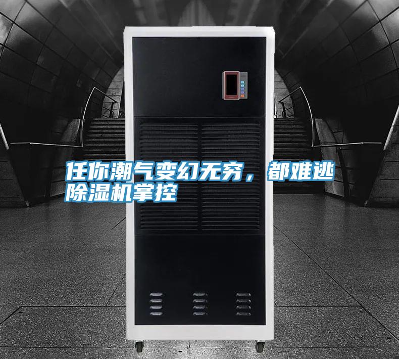 任你潮氣變幻無窮，都難逃除濕機掌控