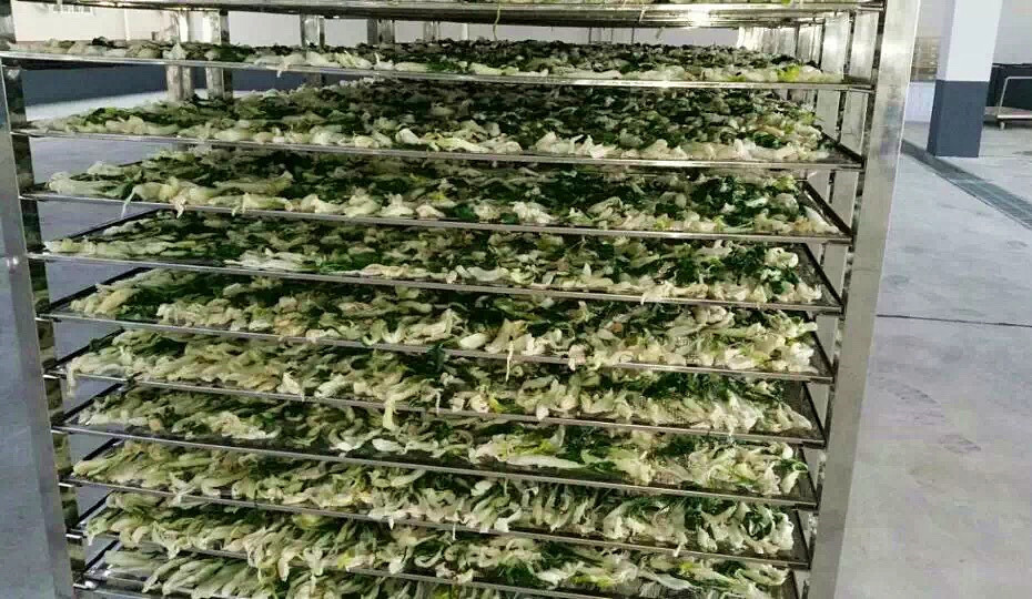 菜干需求一直都很大,蔬菜烘干機很有市場
