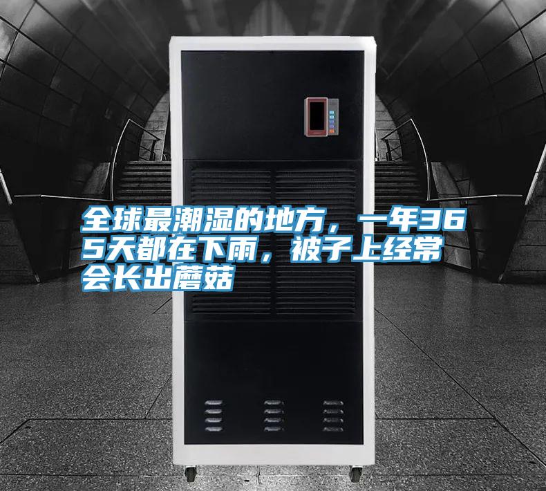 全球最潮濕的地方,一年365天都在下雨,被子上經(jīng)常會(huì)長(zhǎng)出蘑菇