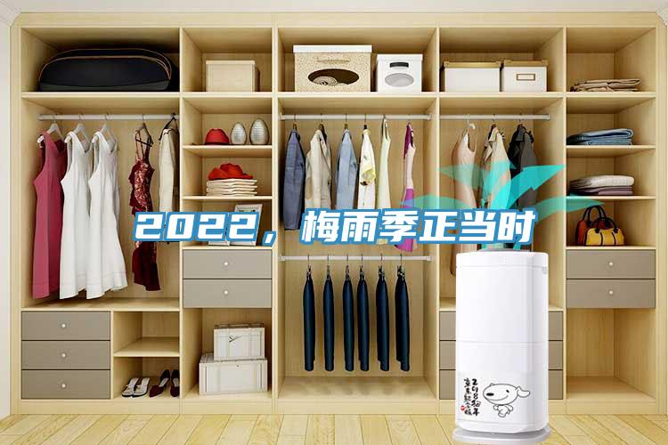 2022，梅雨季正當(dāng)時