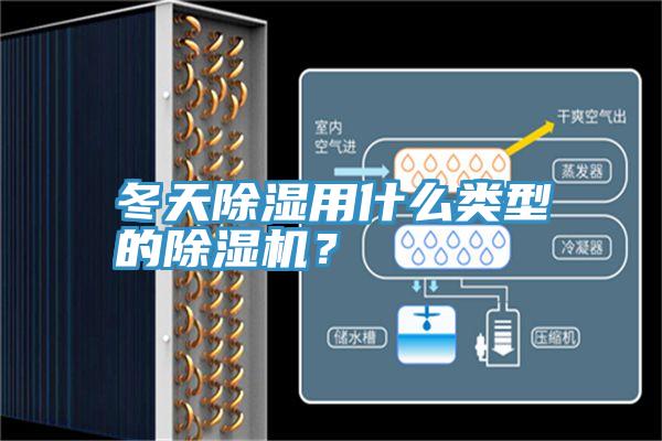 冬天除濕用什么類型的除濕機？