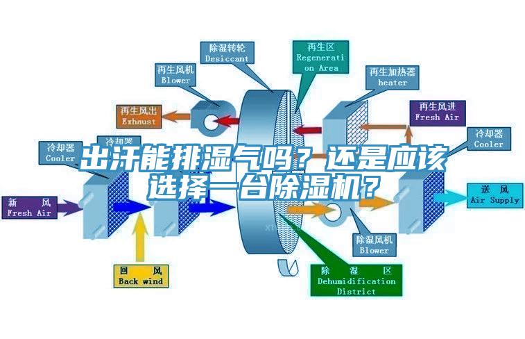 出汗能排濕氣嗎？還是應該選擇一臺除濕機？