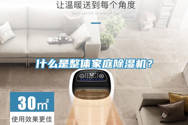 什么是整體家庭除濕機？