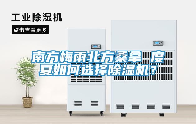 南方梅雨北方桑拿 度夏如何選擇除濕機？