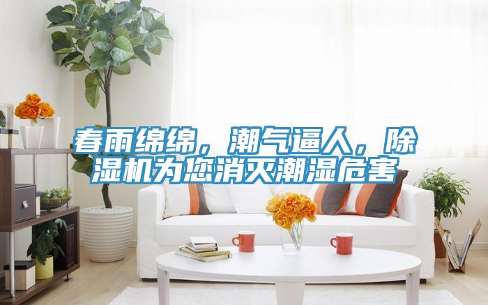 春雨綿綿，潮氣逼人，除濕機為您消滅潮濕危害