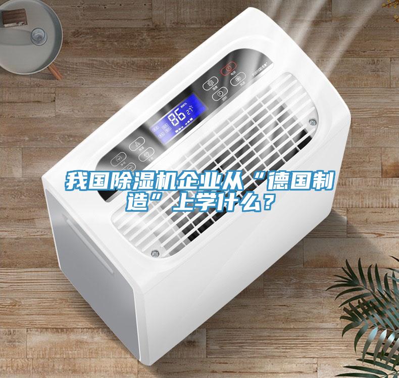 我國(guó)除濕機(jī)企業(yè)從“德國(guó)制造”上學(xué)什么？