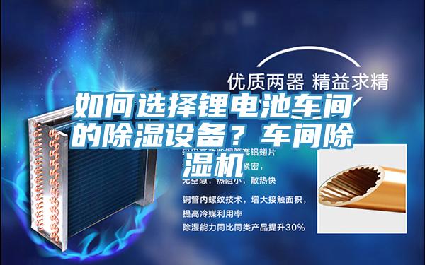 如何選擇鋰電池車間的除濕設(shè)備？車間除濕機(jī)