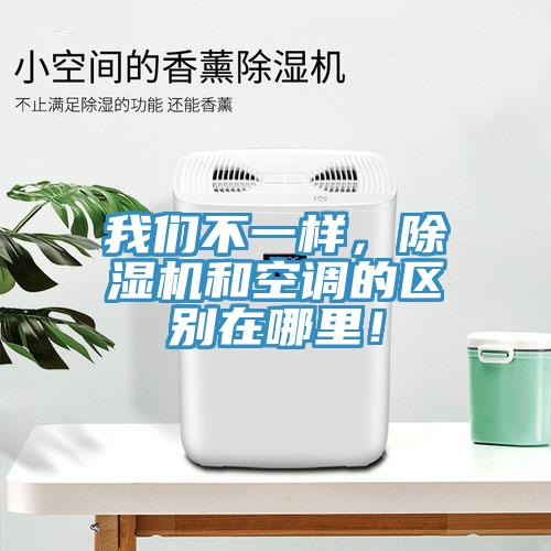 我們不一樣，除濕機和空調的區別在哪里！