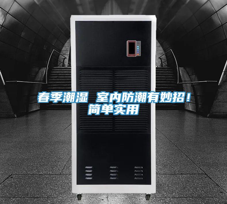 春季潮濕 室內防潮有妙招!簡單實用