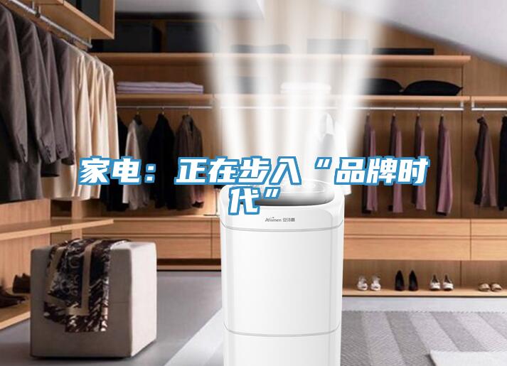 家電:正在步入“品牌時(shí)代”