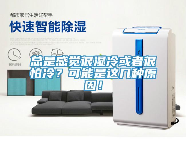 總是感覺很濕冷或者很怕冷？可能是這幾種原因！