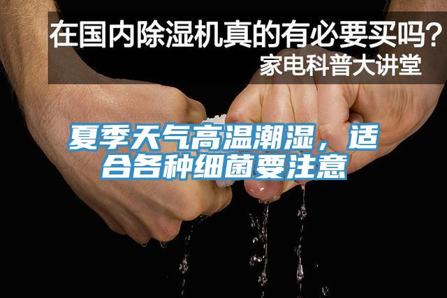 夏季天氣高溫潮濕，適合各種細菌要注意