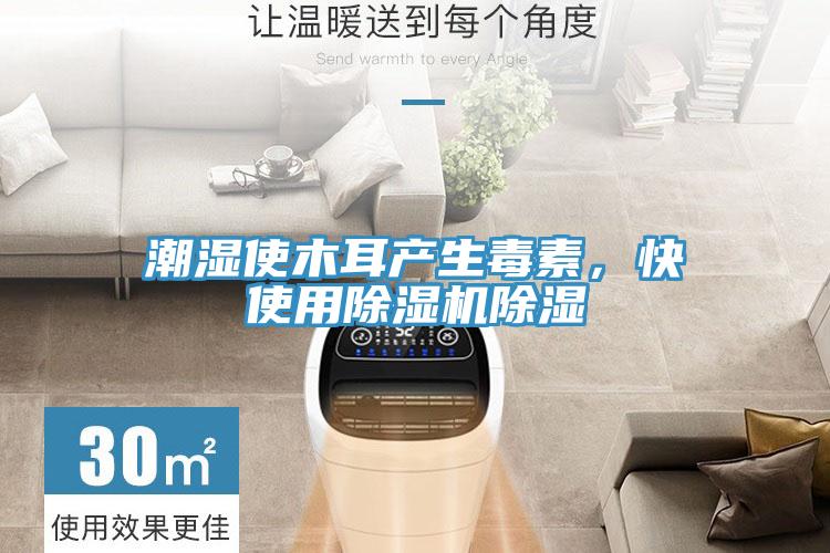 潮濕使木耳產生毒素，快使用除濕機除濕