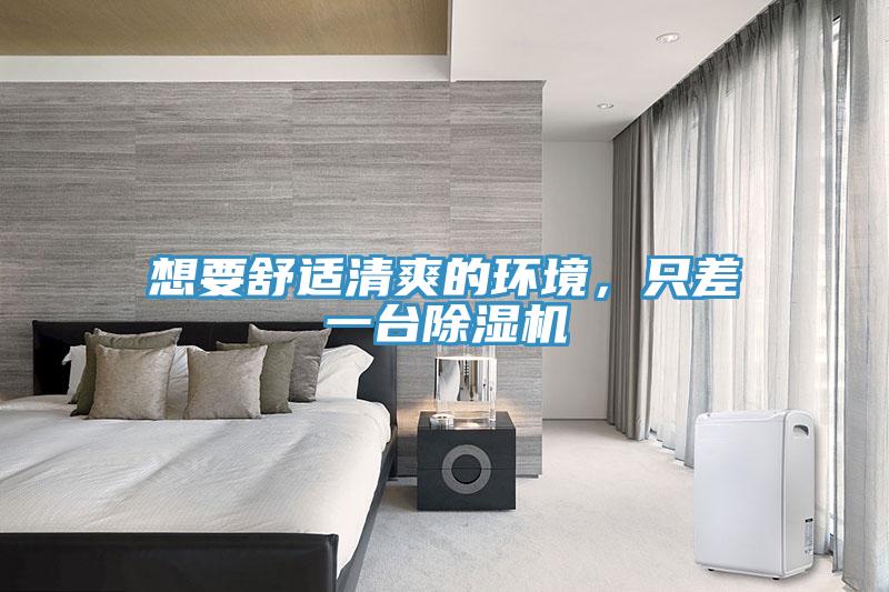 想要舒適清爽的環境，只差一臺除濕機