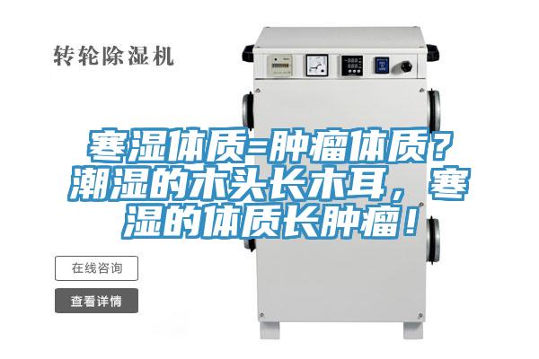 寒濕體質(zhì)=腫瘤體質(zhì)？潮濕的木頭長木耳，寒濕的體質(zhì)長腫瘤！