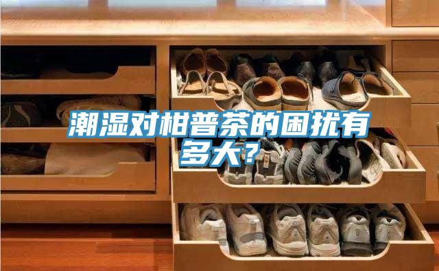 潮濕對柑普茶的困擾有多大？