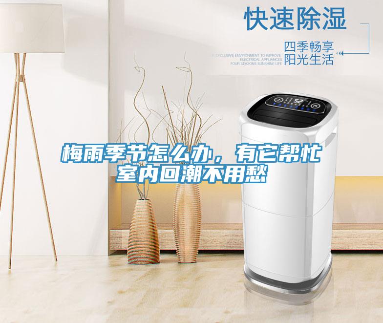 梅雨季節(jié)怎么辦，有它幫忙室內(nèi)回潮不用愁
