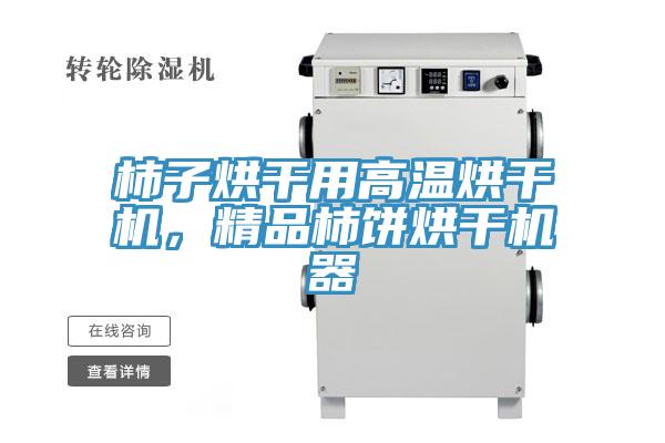 柿子烘干用高溫烘干機，精品柿餅烘干機器