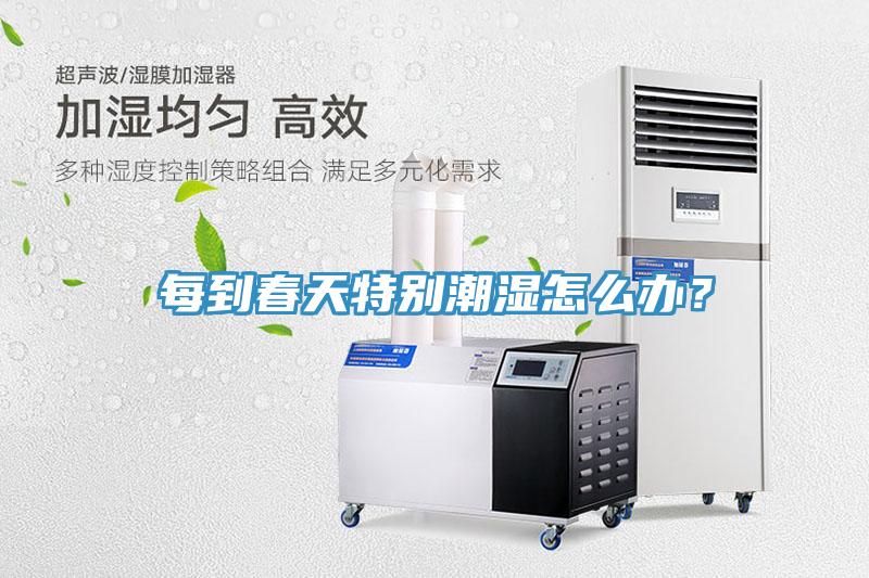 每到春天特別潮濕怎么辦？