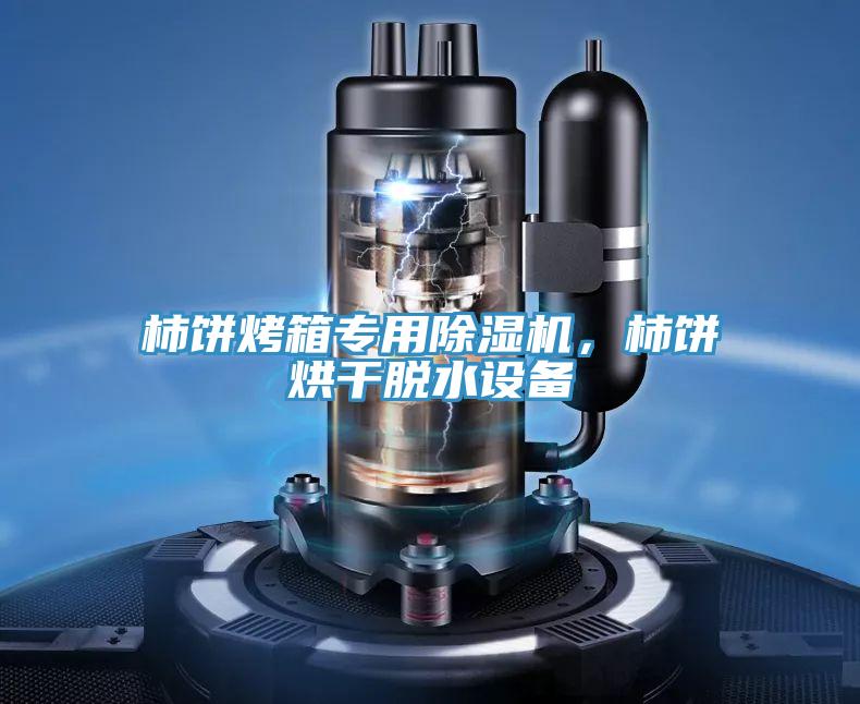 柿餅烤箱專用除濕機，柿餅烘干脫水設備