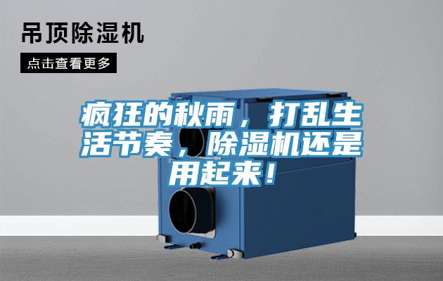 瘋狂的秋雨，打亂生活節(jié)奏，除濕機還是用起來！