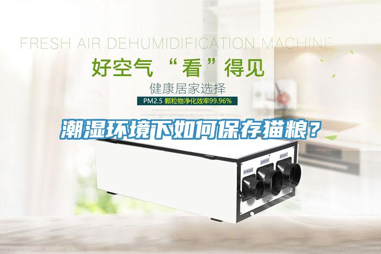 潮濕環(huán)境下如何保存貓糧？
