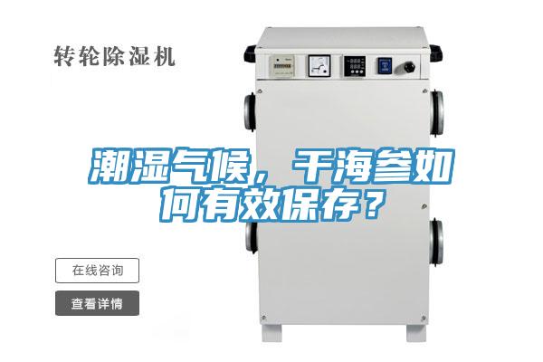 潮濕氣候，干海參如何有效保存？