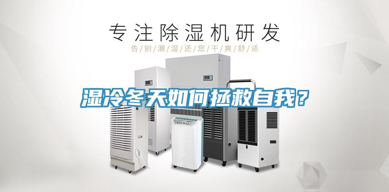 濕冷冬天如何拯救自我？