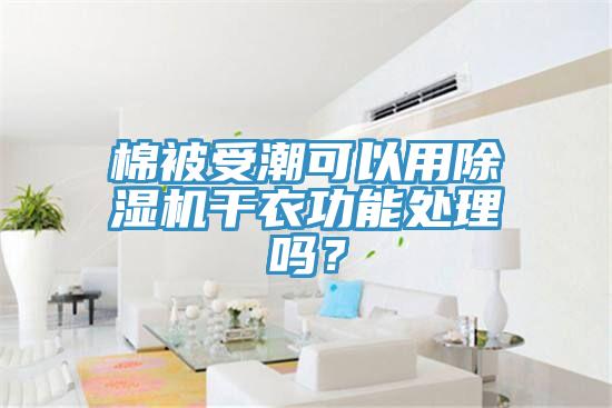 棉被受潮可以用除濕機干衣功能處理嗎？