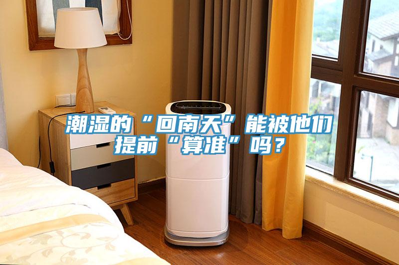 潮濕的“回南天”能被他們提前“算準”嗎？