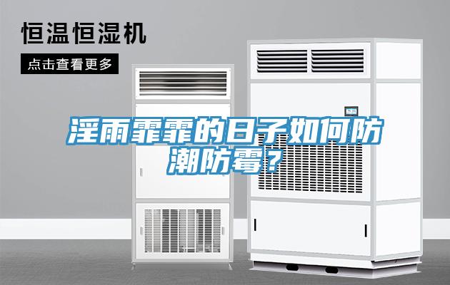 淫雨霏霏的日子如何防潮防霉？