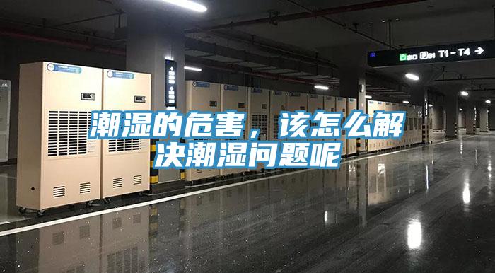 潮濕的危害，該怎么解決潮濕問題呢