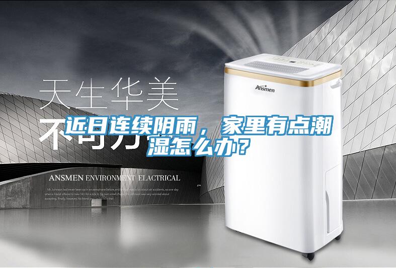近日連續陰雨，家里有點潮濕怎么辦？