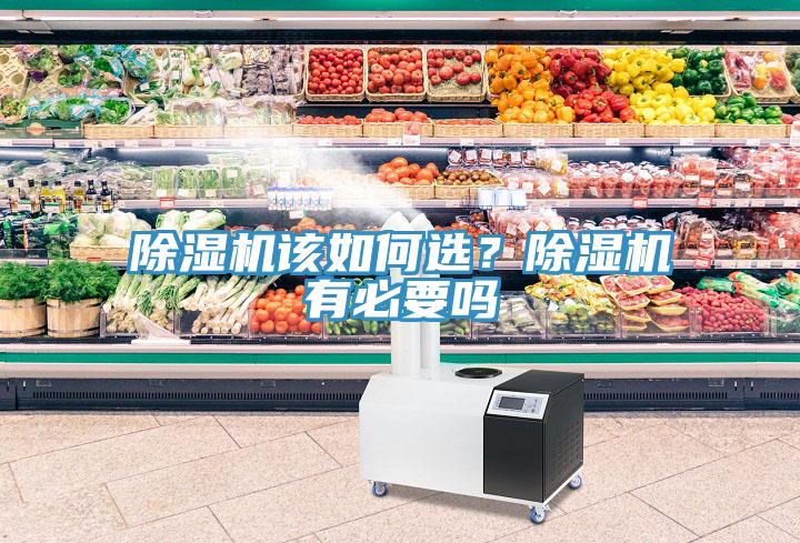 除濕機該如何選？除濕機有必要嗎