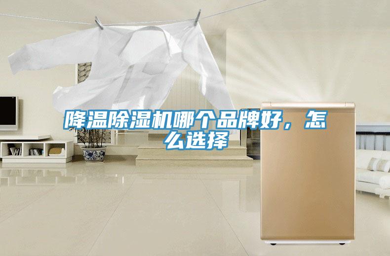 降溫除濕機哪個品牌好，怎么選擇