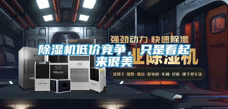 除濕機(jī)低價(jià)競(jìng)爭(zhēng),只是看起來(lái)很美