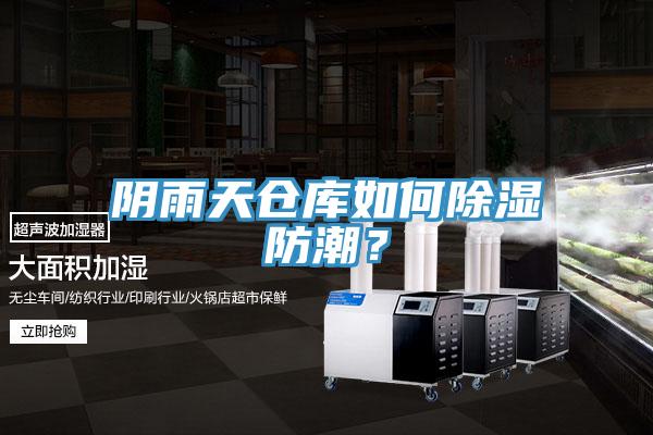 陰雨天倉庫如何除濕防潮？