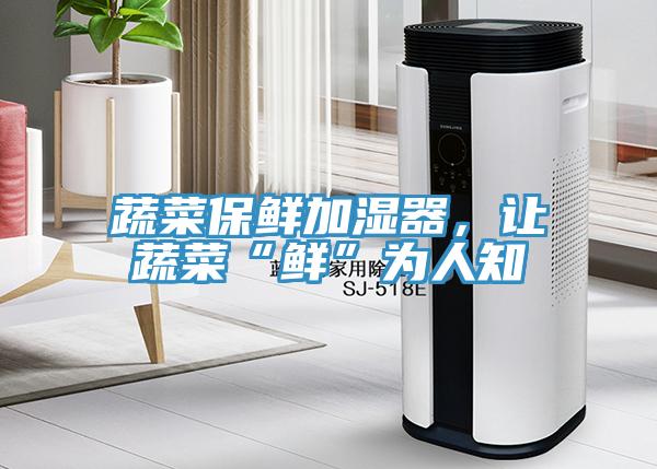 蔬菜保鮮加濕器，讓蔬菜“鮮”為人知