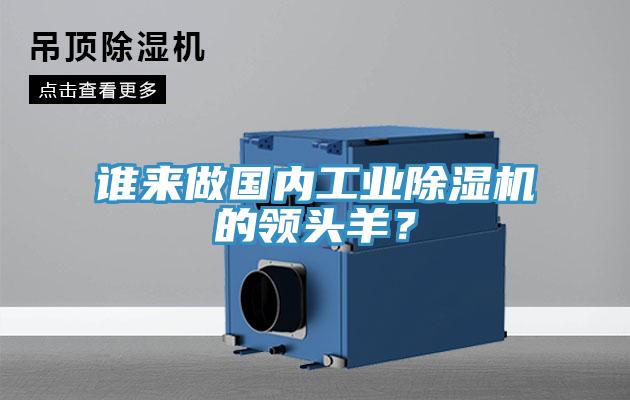 誰來做國(guó)內(nèi)工業(yè)除濕機(jī)的領(lǐng)頭羊？