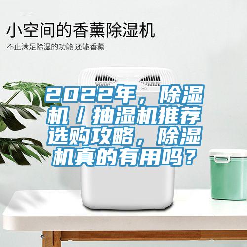 2022年,除濕機/抽濕機推薦選購攻略,除濕機真的有用嗎?
