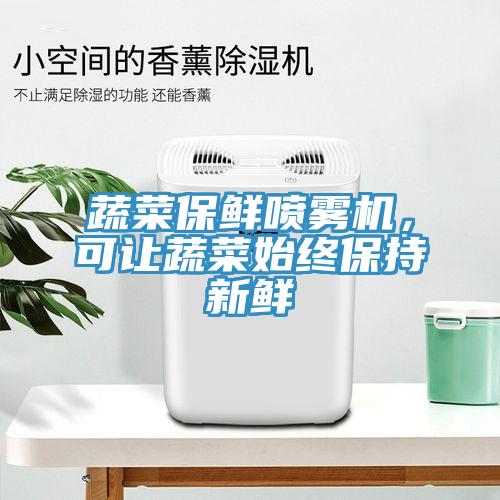蔬菜保鮮噴霧機，可讓蔬菜始終保持新鮮