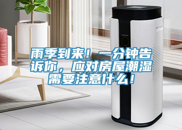 雨季到來！一分鐘告訴你，應對房屋潮濕需要注意什么！