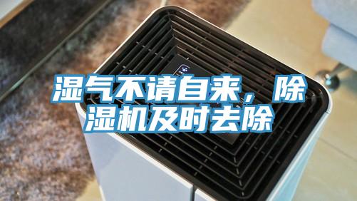 濕氣不請(qǐng)自來，除濕機(jī)及時(shí)去除