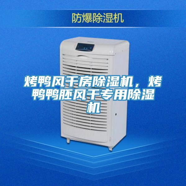 烤鴨風干房除濕機，烤鴨鴨胚風干專用除濕機