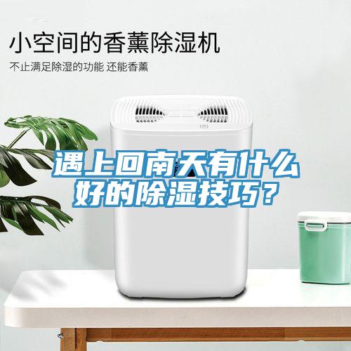 遇上回南天有什么好的除濕技巧？