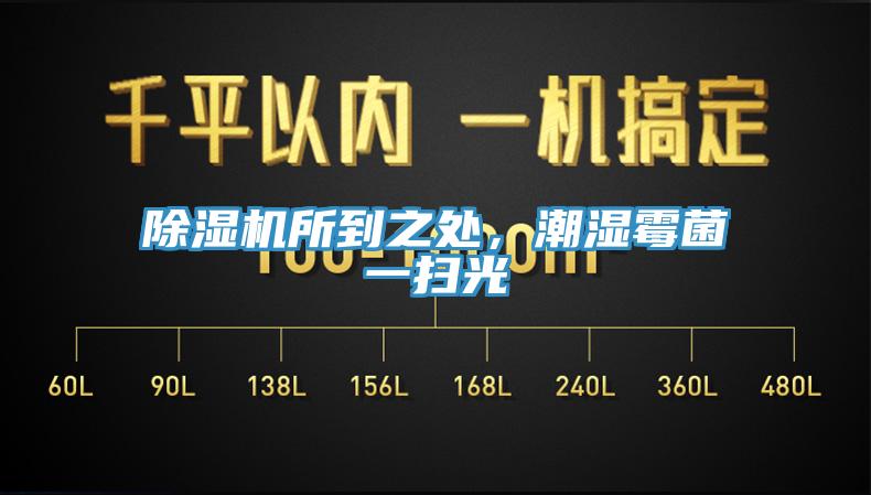 除濕機所到之處,潮濕霉菌一掃光