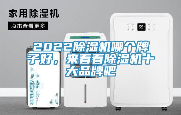 2022除濕機哪個牌子好,來看看除濕機十大品牌吧