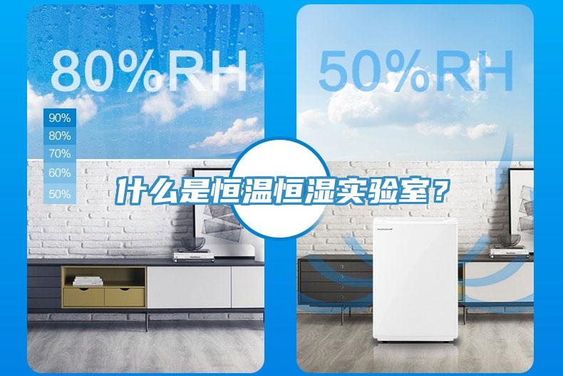 什么是恒溫恒濕實驗室？