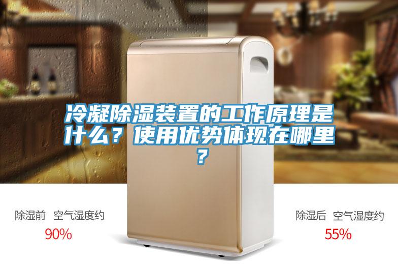 冷凝除濕裝置的工作原理是什么？使用優勢體現在哪里？